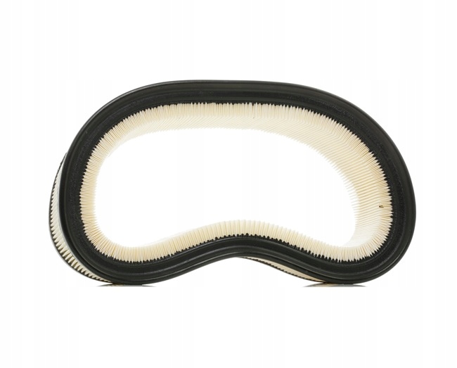 RIDEX 8A0193 FILTRE AIR
