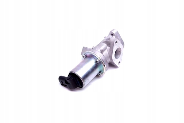 SKV ALLEMAGNE 14SKV212 VANNE EGR