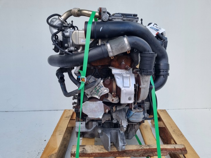 MOTEUR KIT RENAULT SCENIC III 1.9 DCI 131KM UDOKUMENTOWANE 173TYS F9Q870