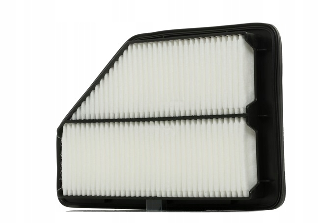 RIDEX 8A0096 FILTRE AIR VERS HONDA CR-V III (RE) CR-V II (RD) FR-V (BE)