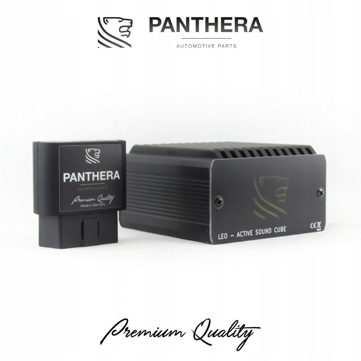 ACTIVO ESCAPE PANTHERA LEO 6.0 (BOXER | R4 | R6| V6 | V8 | V12 | E-SOUND) 
