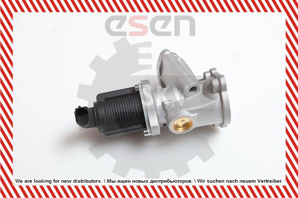 ESEN SKV 14SKV031 VÁLVULA EGR FIAT, LANCIA, OPEL 