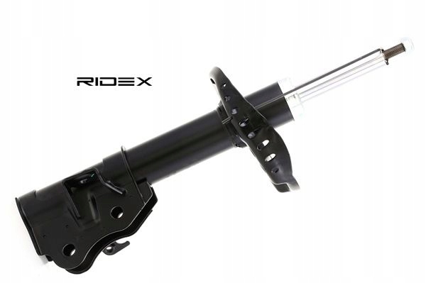 RIDEX 854S0452 AMORTISSEUR GAZEUX ENTRETOISE SUSPENSIONS AVANT LEWO