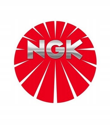 NGK BUJÍA ZAROWA VW TDI 1,9-2,5 