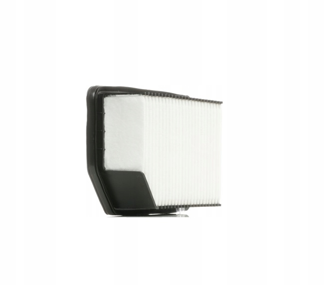 RIDEX 8A0191 FILTRE AIR VERS HYUNDAI I20 (PB, PBT) VERS KIA VENGA (YN)