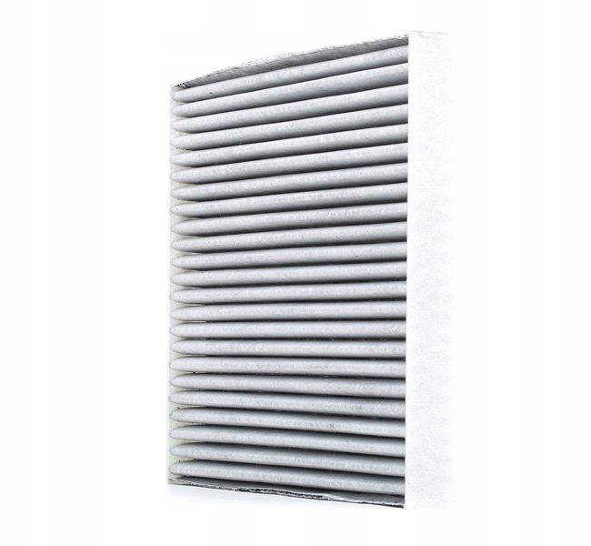 RIDEX 424I0206 FILTRE VENTILATION ESPACES PASAZERSKIEJ
