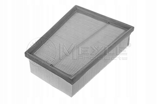 FILTRO AIRE RENAULT 1,9DCI SCENIC/MEGANE 16-123210014 MEYLE 