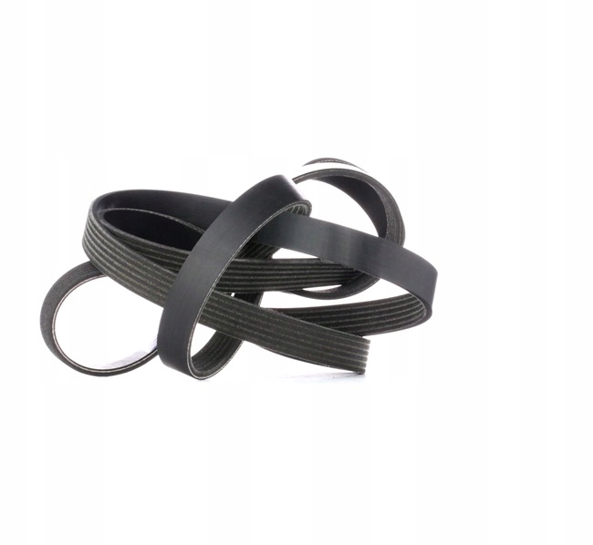 RIDEX 305P0206 COURROIE EN V MULTICANAL VERS VW TOUAREG (7LA, 7L6, 7L7)