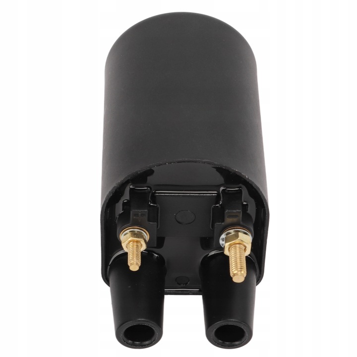 KIT BOBINES D'ALLUMAGE MOTEUR 166 0820 SUBSTITUT POUR MODÈLES F1