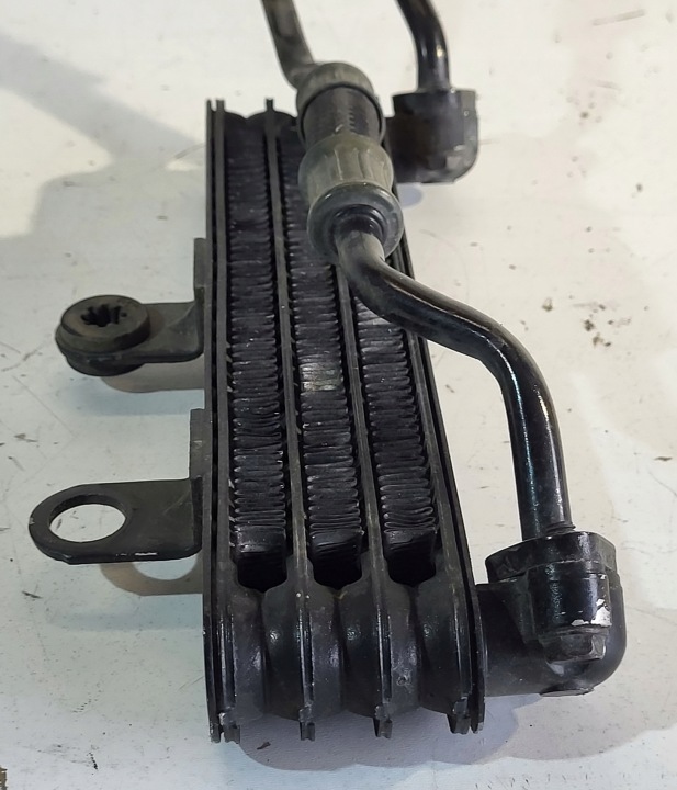 RADIATEUR HUILES CONDUITES DE DÉRIVATION HONDA AFRICA TWIN 750 RD04 RD07 RD07A 1990-2003R