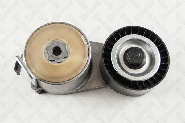 03-40809-SX ROLLO TENSOR DISTRIBUCIÓN FIAT PALIO/PUNTO/STILO 1. 