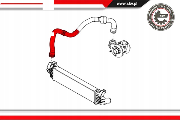 FIL TURBINES RENAULT LAGUNA 3 1.5 DCI ESEN SKV photo 4 - milautoparts-fr.ukrlive.com