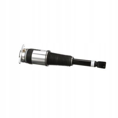 ARNOTT AS-3031 AMORTISSEUR PNEUMATIQUE