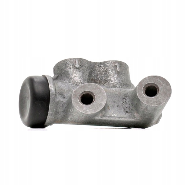 RIDEX CORRECTEUR SILY FREIN 73B0031 AXE ARRIÈRE CÔTÉ DROITE FONTE BOÎTIER
