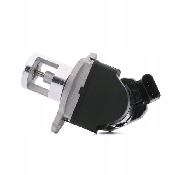 RIDEX 1145E0076 SOUPAPE AGR