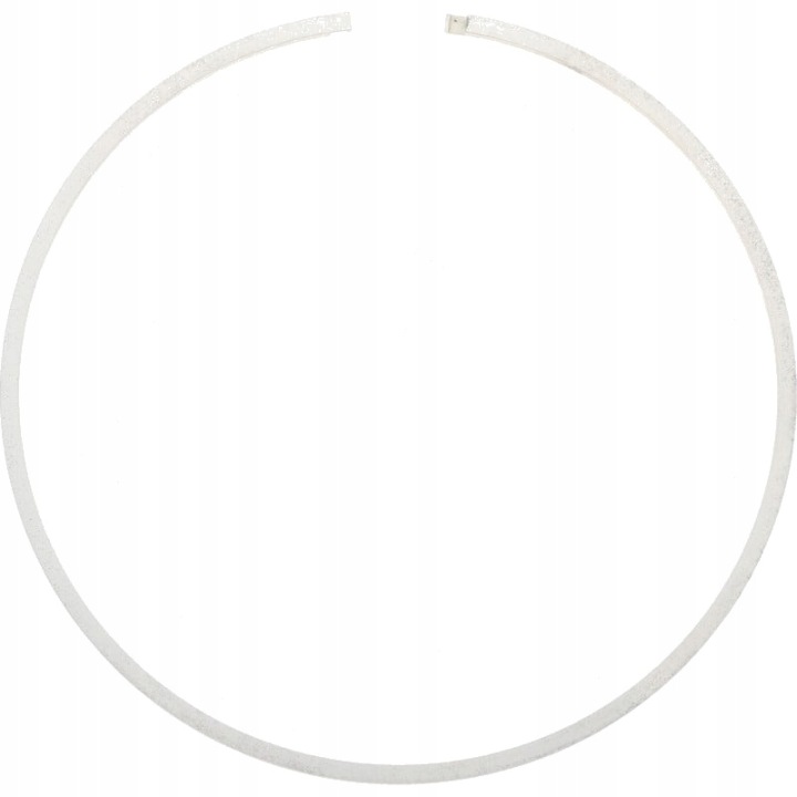CARRARO ROTARY SEAL RING D138