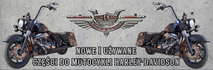 HARLEY SOFTAIL HERITAGE ROCKER COURROIE MOTEUR 07-13