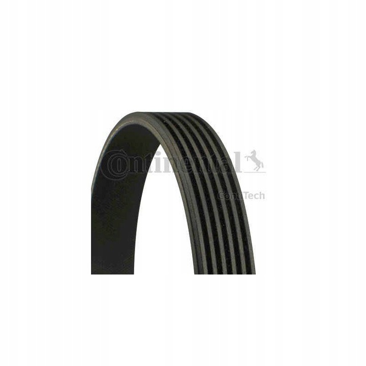 BELT W/KLINOWY 6PK1780/CON CONTINENTAL CTAM CON photo 2 - milautoparts-fr.ukrlive.com