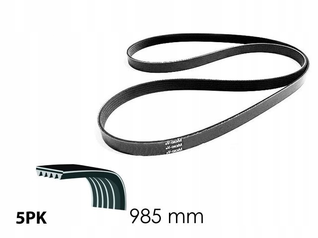 COURROIE PK SKF VKMV 5PK985 VKMV5PK985