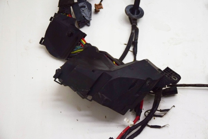 FAISCEAU DE CÂBLES MOTEUR LAND ROVER RANGE ROVER EVOQUE (L538) EJ3214290AGC 2.0L