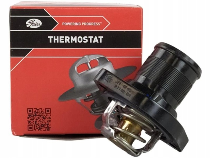 THERMOSTAT TH21689G1/GTS