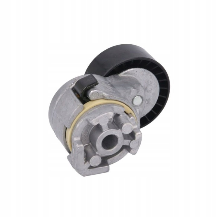 SKF TENDEUR COURROIE WIELOROWK. FIAT 2,3JTD