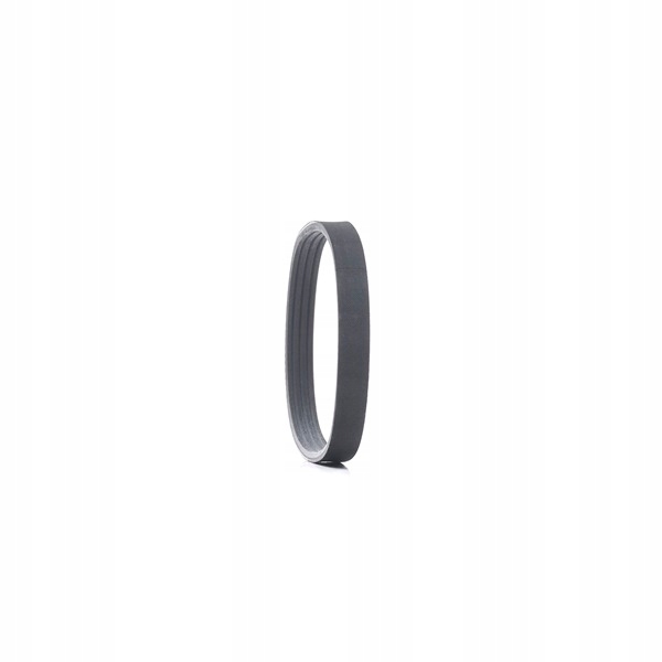 RIDEX 305P0339 COURROIE EN V MULTICANAL VERS VOLVO 440 K (445) 460 GAUCHE (464)