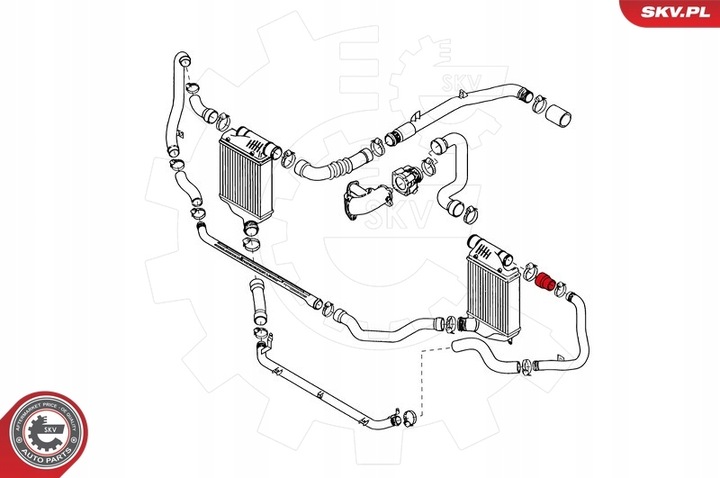 SKV FIL TURBO photo 7 - milautoparts-fr.ukrlive.com