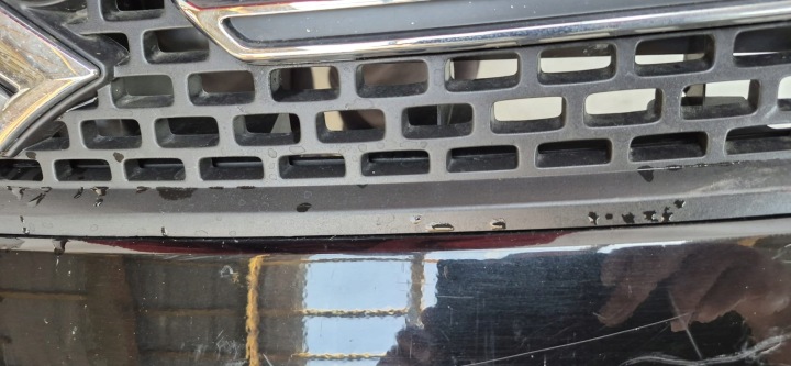 SUZUKI IGNIS III 16- PARE-CHOCS AVANT AVANT GRILLE 71711-62R