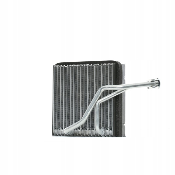 RIDEX 471E0006 ÉVAPORATEUR CLIMATISATION VERS VW GOLF IV BERLINE COMPACTE (1J1) LUPO