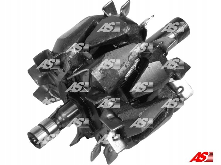 AR1001 AS ROTOR ALTERNADOR 