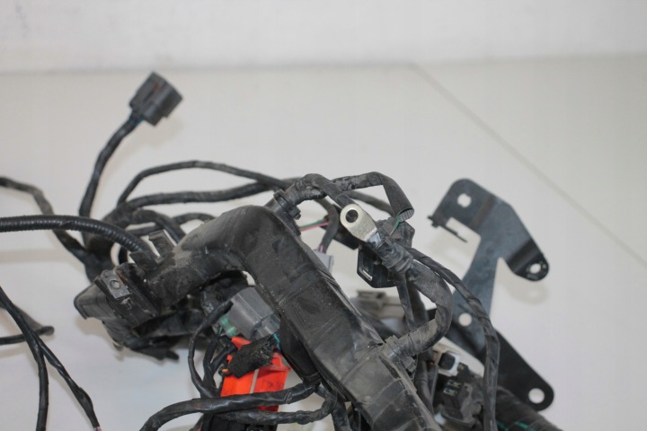 TRIUMPH TROPHY 1215 SE 12-17 INSTALLATION ÉLECTRIQUE ELEKTRYCZN