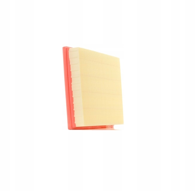 RIDEX 8A0113 FILTRE AIR