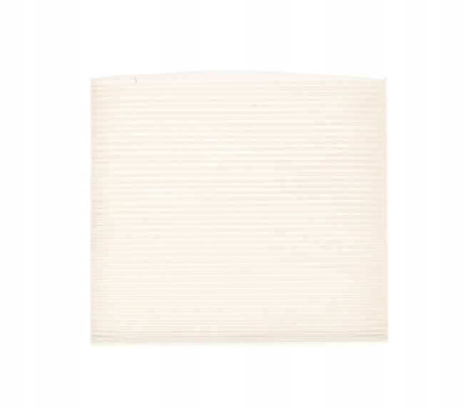 RIDEX 424I0094 FILTRE VENTILATION ESPACES PASAZERSKIEJ FILTRE PARTICULES