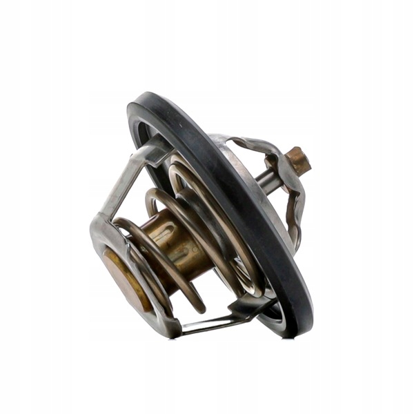 RIDEX 316T0026 THERMOSTAT LIQUIDE REFROIDISSEMENT 88°C VERS VW GOLF I (17) POLO (86)