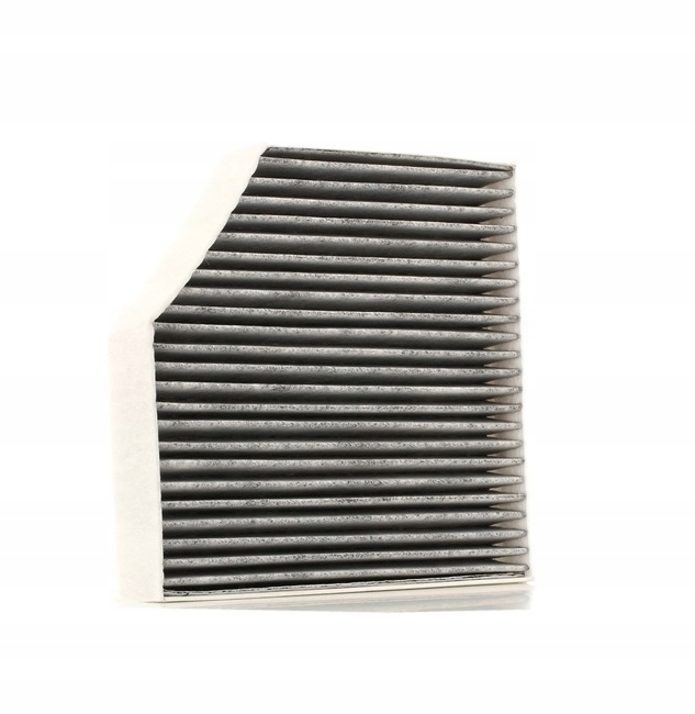 STARK SKIF-0170039 FILTRE VENTILATION ESPACES PASAZERSKIEJ FILTRE AVEC WEGLEM