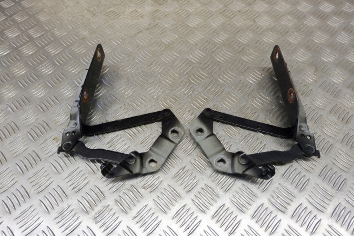 ENSEMBLE CHARNIÈRES CAPOTS LAND ROVER RANGE ROVER EVOQUE (L538) 6H5216800AC