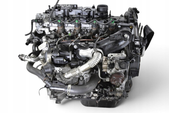 MOTEUR FIESTA MK7 FOCUS MK3 1.6 TDCI 95KM TZJA TZJB T3JA T3JB @KOMPRESJA@