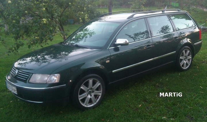 VOLKSWAGEN VW PASSAT B5 MOLDURAS CROMO LADO DE PUERTA 