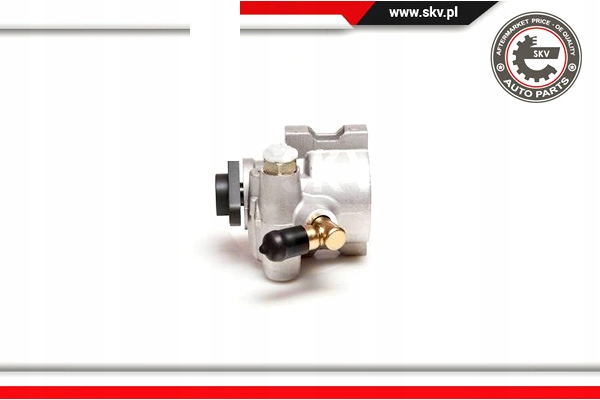 ESEN SKV POMPE AMPLIFICATEUR 10SKV053 DSP120 FORD ESCORT V VI ORION III