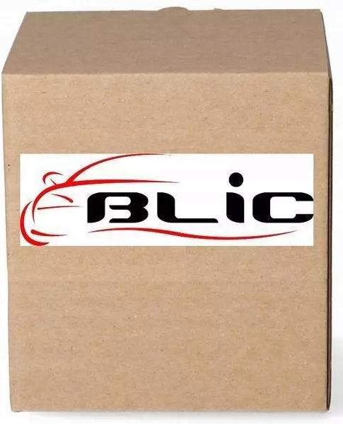 LIFT DEVICE GLASS BLIC 6060-00-AI3905 photo 1 - milautoparts-fr.ukrlive.com