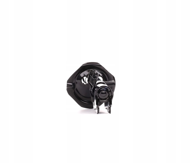 RIDEX 854S0164 AMORTISSEUR GAZEUX ENTRETOISE SUSPENSIONS ARRIÈRE PRAWO