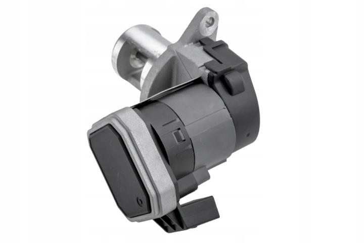 NTY EGR-MS-007 SOUPAPE AGR