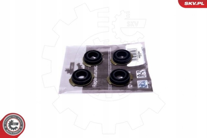 SKV ALLEMAGNE 96SKV401 KIT RÉPARATION MODULE TUYAUX SSACEJ