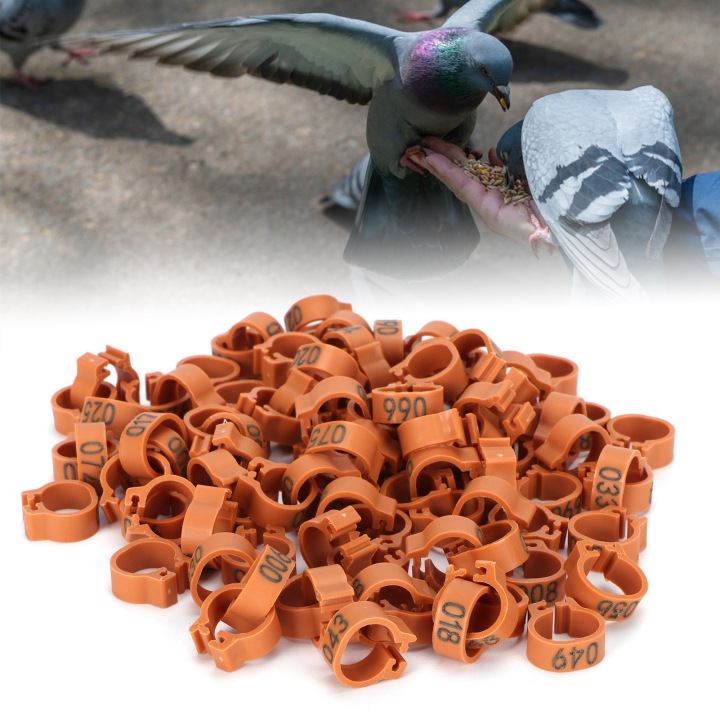 001-100 NUMEROWANE COLLIERS SUR PIEDS PTAKA 8 MM BAGUE IDENTYFIKACYJNE