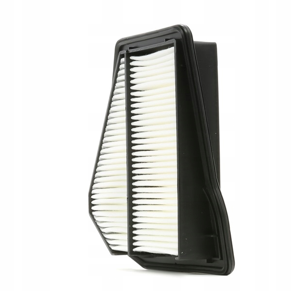 RIDEX 8A0494 FILTRE AIR