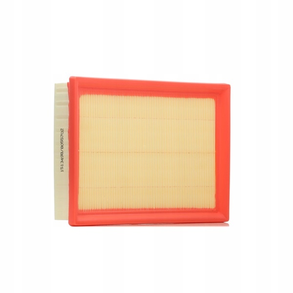 RIDEX 8A0376 FILTRE AIR