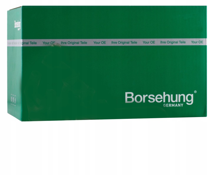 BORSEHUNG B19209 KIT CHAÎNES DISTRIBUTION