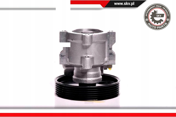 ESEN SKV POMPE AMPLIFICATEUR 10SKV013 DSP338 DS CITROEN JUMPY FIAT