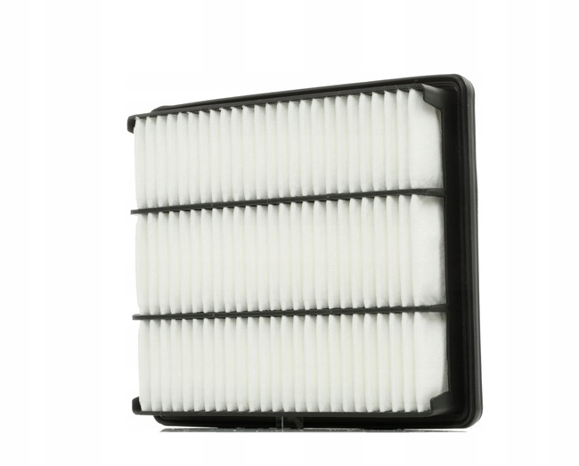 RIDEX 8A0165 FILTRE AIR